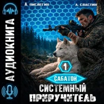 Сабатон. Системный приручитель 1 — Сластин Артем, Пислегин Алексей